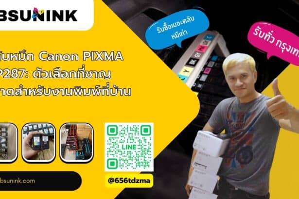 ตลับหมึก canon pixma mp287
